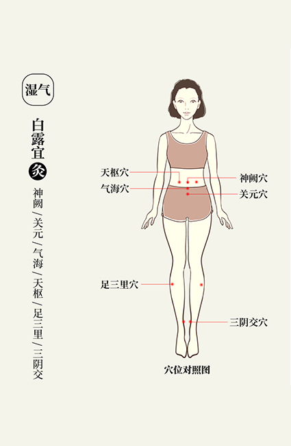 悠久的艾草