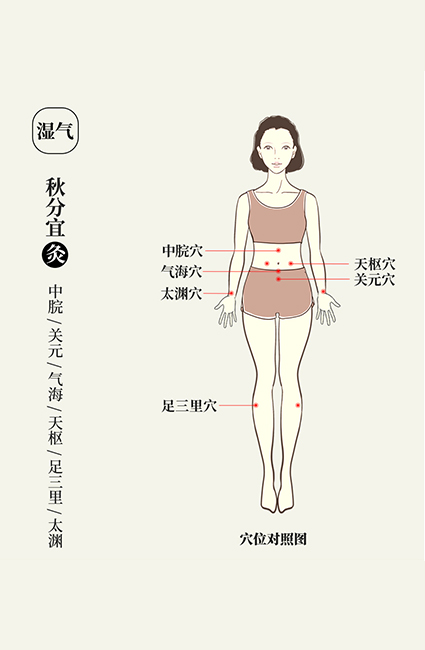 悠久的艾草