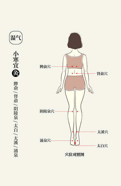 悠久的艾草